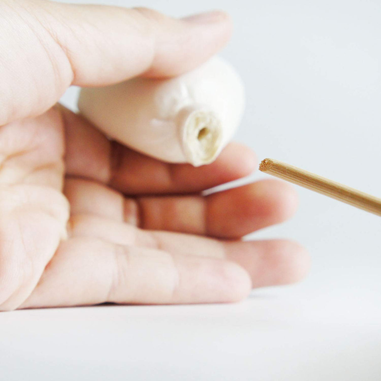 Mixed White Sola Flower with Cotton Wick Diffuser Set Replacement for Home Fragrance by Plawanature plawanature