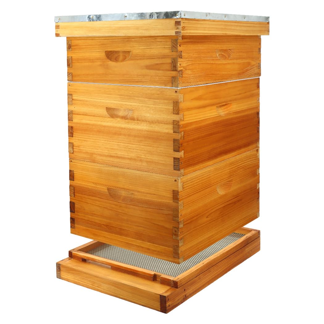 BEEKNOWS 10 Frame Beehive kit with Screened Bottom Board Dipped in 100% Beeswax Beehive Boxes Starter Kit Includes Beehive Frames and Waxed Foundations (2 Deep Boxes & 1 Medium Box)