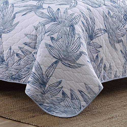 Tommy Bahama - Queen Quilt Set, Reversible Cotto Bedding with Matching Shams, Super Soft Bedding Set (Kayo Blue, Queen) Tommy Bahama