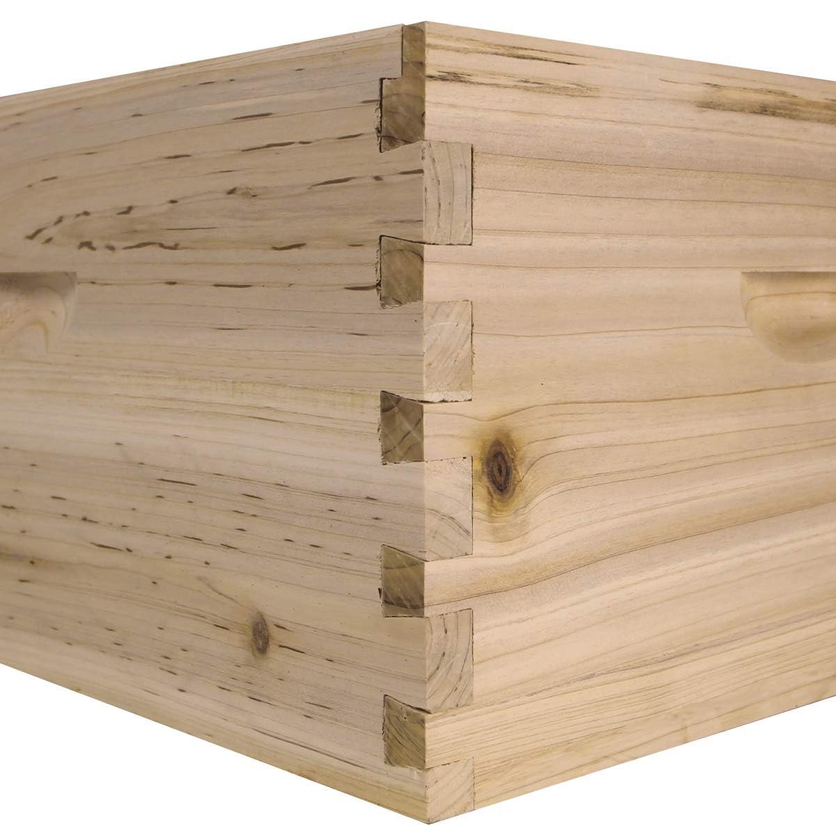 NuBee Starter 10 Frame Beehive Kit - Includes 2 Hive Bodies, 1 Super Box, Pine Frames, Wax Coated Foundations and More NuBee Hive