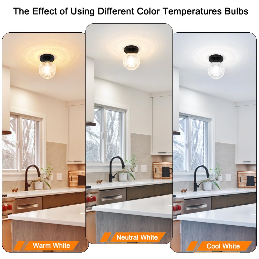 DSMJFU Black Semi Flush Mount Ceiling Light, Small Hallway Light Fixture, Vintage Close to Ceiling Light Fixture for Bathroom, Entryway, Foyer, Closet DSMJFU DSMJFU