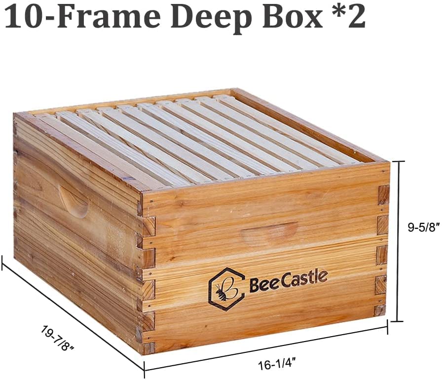BeeCastle 10 Frame Langstroth Bee Hive Coated with 100% Beeswax Includes Beehive Frames and Waxed Foundations (2 Deep Boxes & 2 Medium Boxes) BeeCastle
