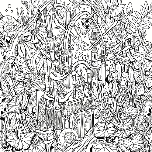 Mythographic Color and Discover: Dream Garden: An Artist's Coloring Book of Floral Fantasies Castle Point Books