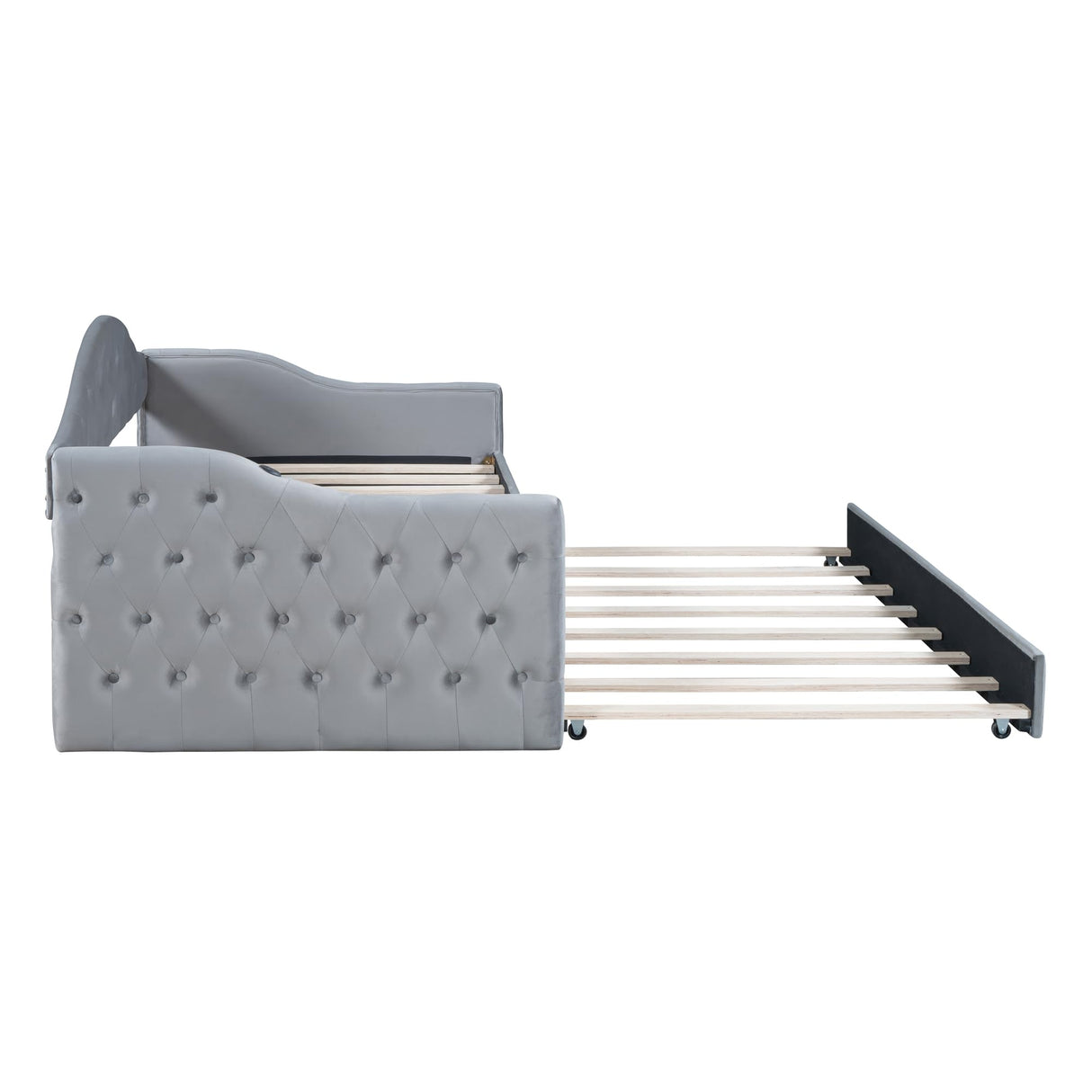 Bellemave Twin Size daybed Frame with Trundle for Adults, Kids, Girls, Teens, Tufted daybeds with Trundle for Living Room, Velvet, (Mattress not Included), Gray Bellemave