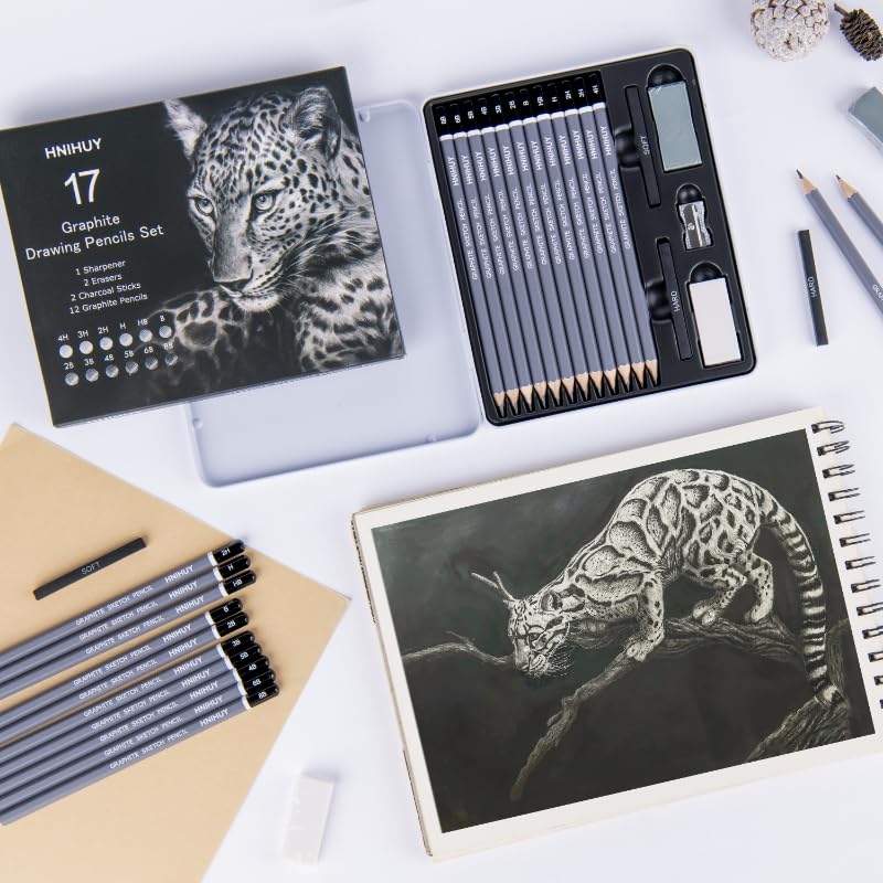 HNIHUY Professional Sketch Pencils Set, 17 Pcs, Graphite Pencils (8B-4H), Erasers and Sharpener, Art Drawing Pencil for Artists Beginner Sketching WoodArtSupply