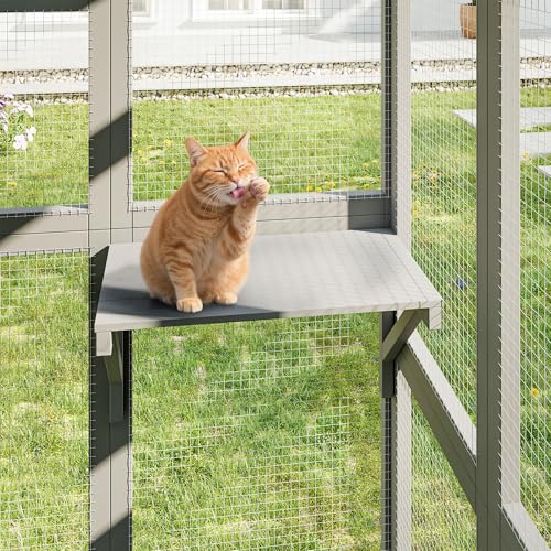 YADSUNY 64 Inch Catio Outdoor Cat Enclosure, Large Cat House for Outdoor Cats with Updated Framework Structure, Outside Cat Patio Cattery Weatherproof for Multiple Cats, Grey YADSUNY