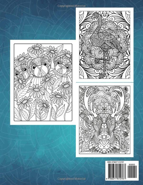 Mindfullness Coloring Book for Adults WoodArtSupply