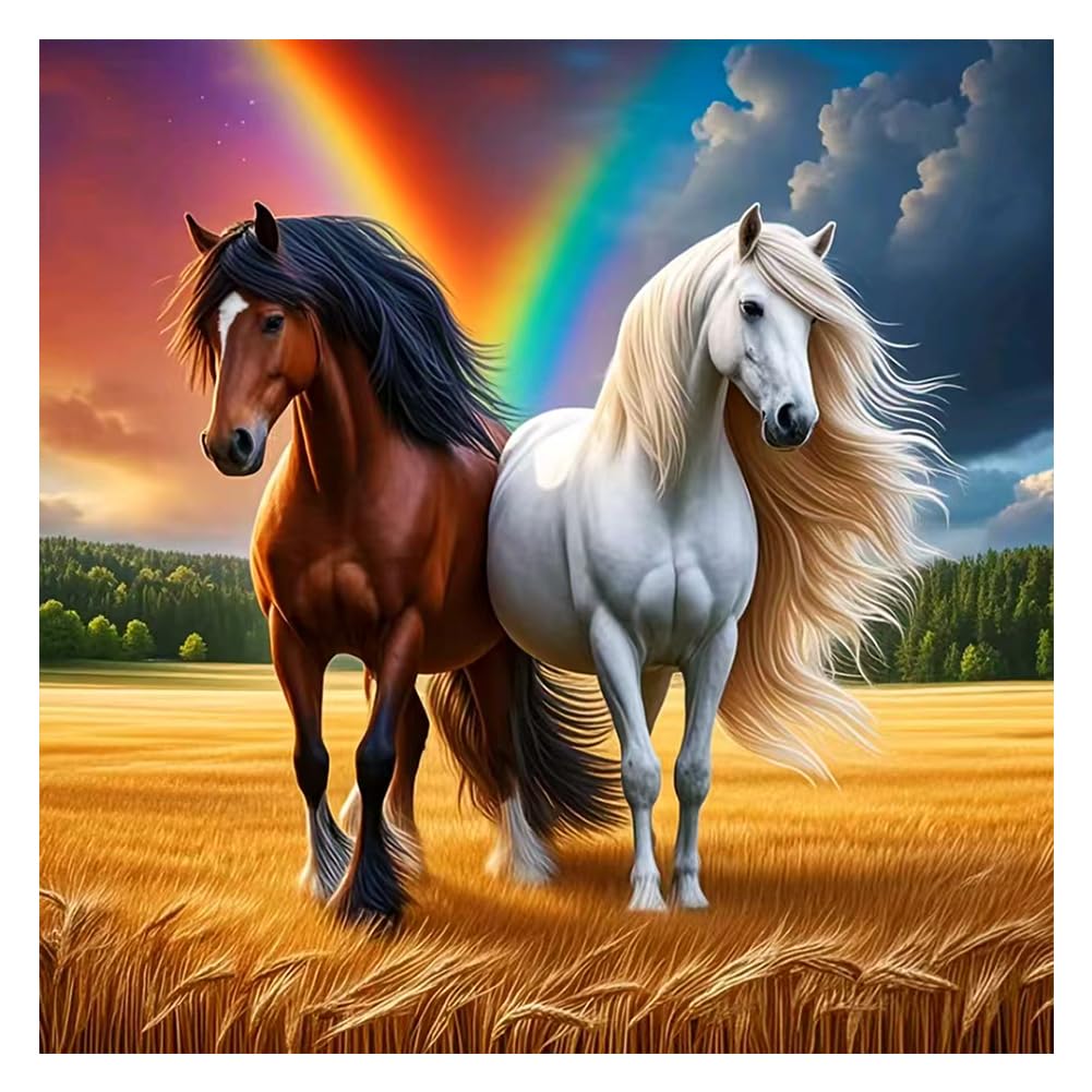 hill froeistung 5D Horses Diamond Art Painting Kits for Adults, Beginners, Animal,DIY Full Drill Rainbows Diamond Art Painting for Wall Decor,12x12inch hill froeistung