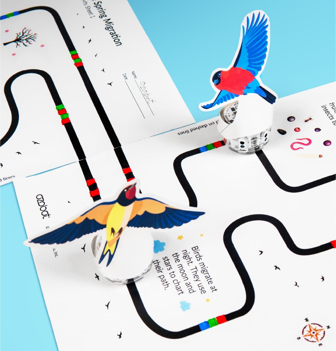 Ozobot Evo Entry Kit: Interactive Coding Robot, Kids Ages 5+, Includes Color Code Markers, Charging Cable, Zip Case, Access to 700+ STEM Lessons - Educators & Parents, No Coding Experience Required Ozobot