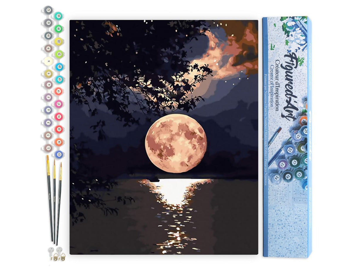 Figured'Art Paint by Numbers Kit for Adults Moon Reflection on The Lake 16"x20" - Craft Art Painting DIY Kit Rolled Canvas Without Frame Figured'Art
