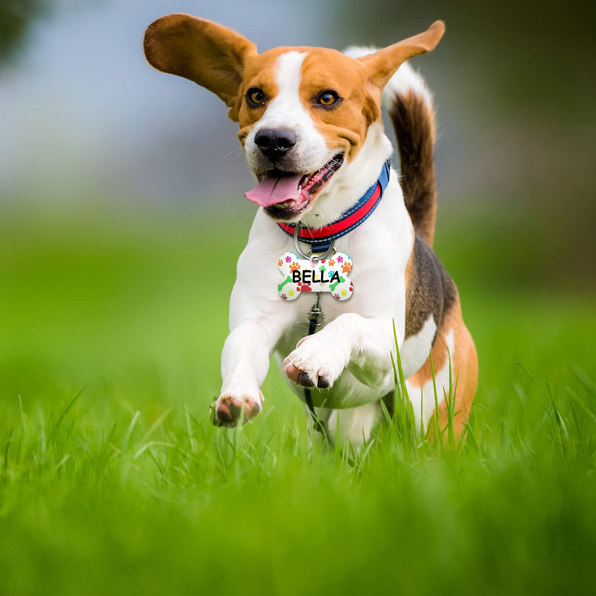 16 Pieces Sublimation Blank Dog Tag Aluminum Dog Tag Bone-Shaped Sublimation Blank Dog Tag Double Sided Dog Tag with Key Ring for Dogs and Cats Pet ID Tag Hotop