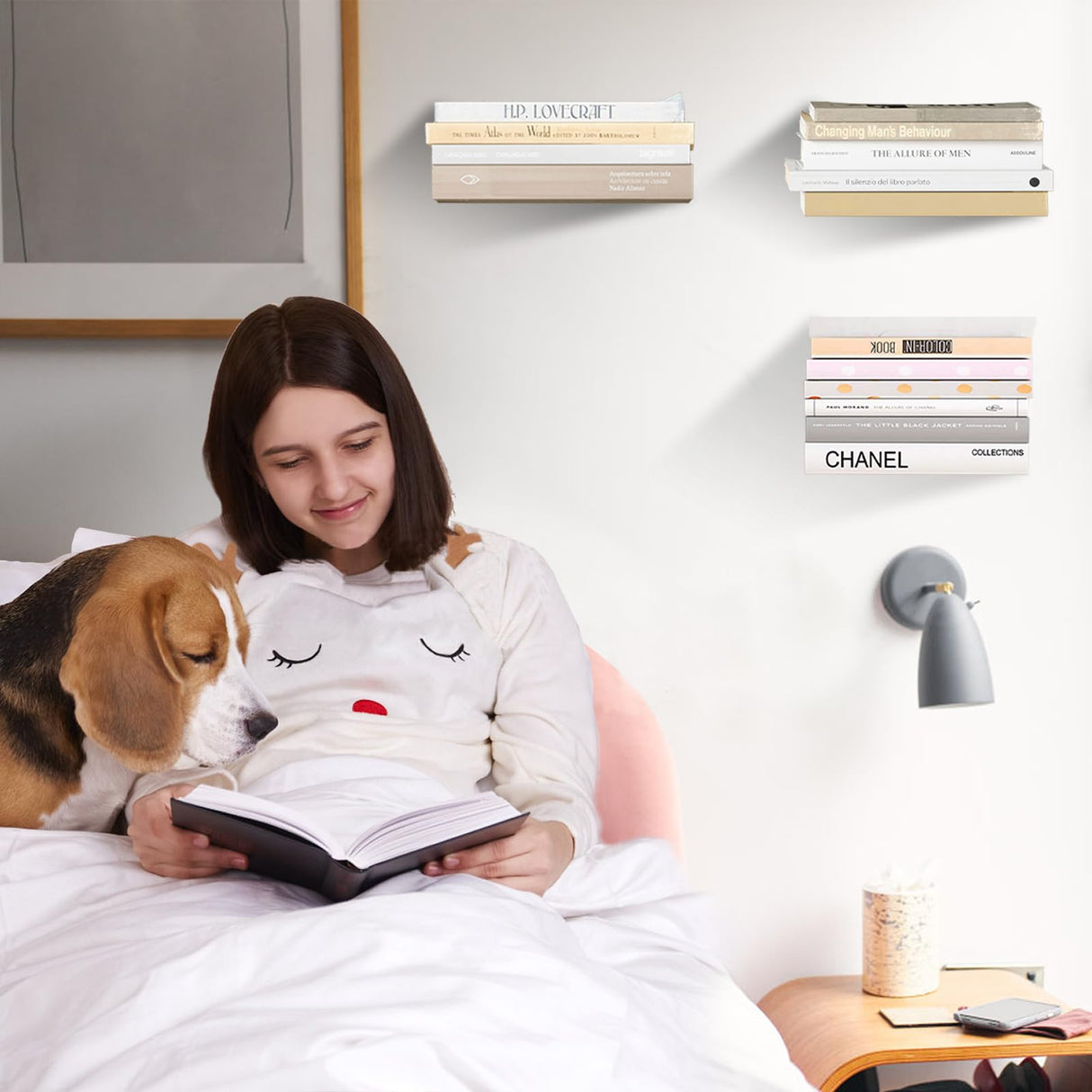 Atsgke Invisible Floating Bookshelf - Modern White Wall Mount Metal Shelves for Room, Bedroom Bookcase, Small Bookshelf with Minimalist Design, Sleek Storage for Books & Decoratives(4PCS) Atsgke