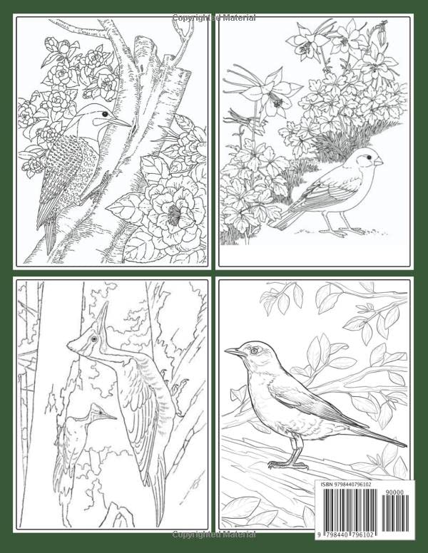 Songbirds Coloring Book: singing beautiful birds,flower cover design with scenery ,stress Relieving design relaxation. Majosta