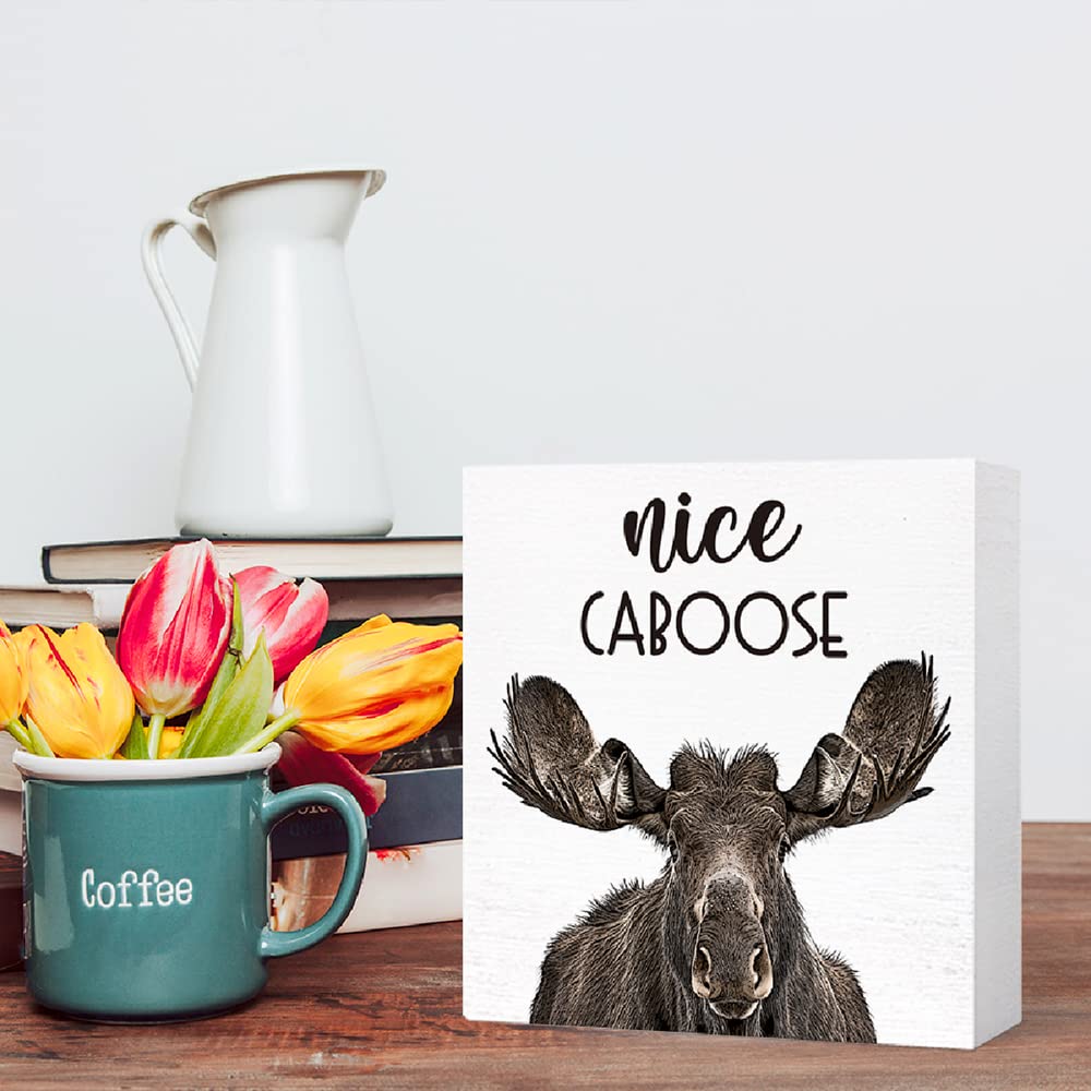 SJNH Funny Bathroom Wood Sign Nice Caboose Funny Moose Wood Block Sign for Bathroom Shelf Toilet Restroom Home Tabletop Desk Decor,Farmhouse Bathroom Wooden Box Sign SJNH