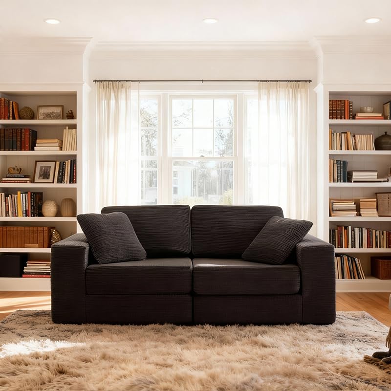 FILUXE Modular Sectional Sofa, Modern Modular Sofa Couch with Deep Seat,Comfy Cloud Couch, Sectional Couches for Living Room, Bedroom and Apartment,2-Seater,Dark Grey FILUXE