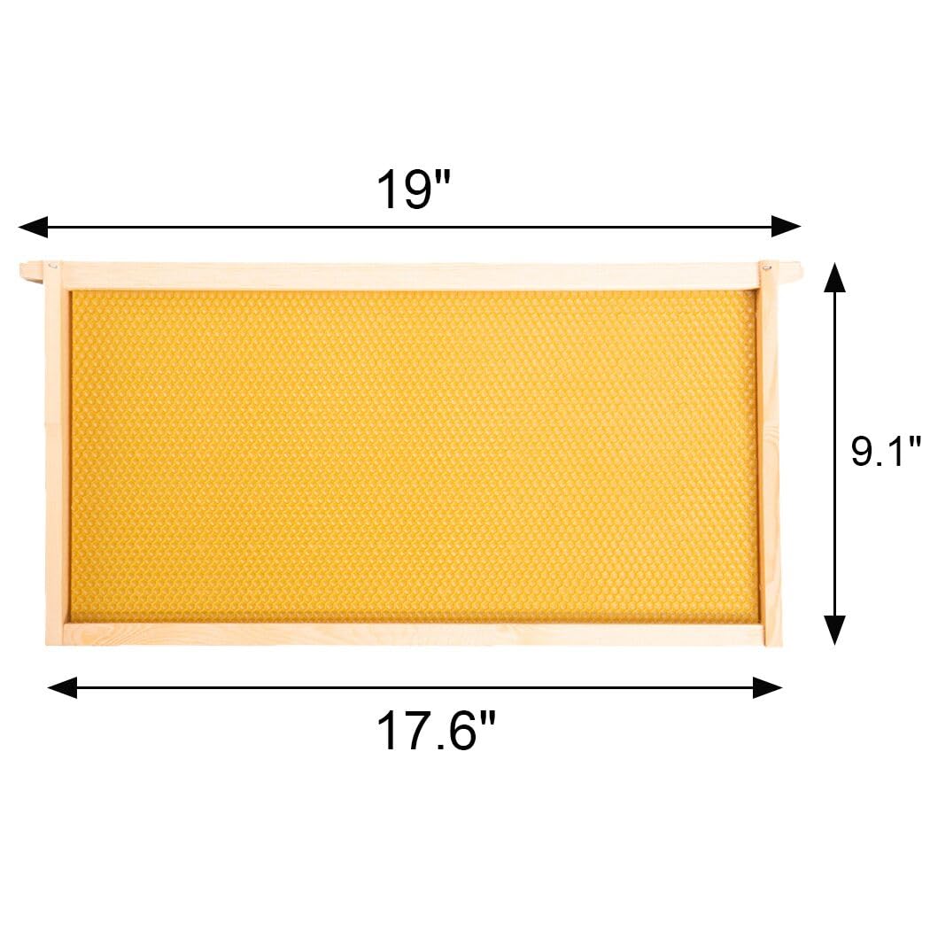 BeeCastle 10 Pack Beehive Frames and Wax Foundations for Deep Brood Bee Hives with Wooden Bee Hive Frames and 100% Beeswax Coated Foundations, 9-1/8-Inch (Yellow) BeeCastle