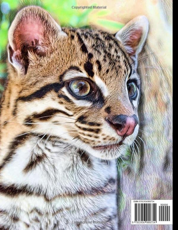 Big Cats Coloring Book: With Lions, Tigers, Ocelots, Caracals, Cheetahs, Cougars, Lynxes, Jaguars, and Leopards. (Animals That We Love) WoodArtSupply