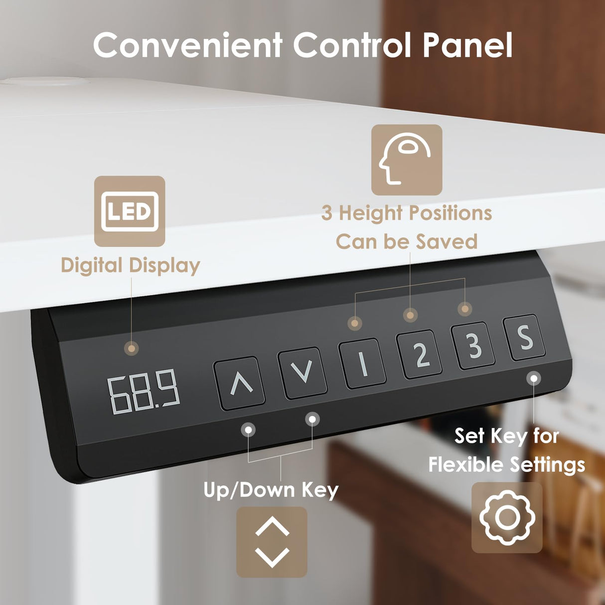 DSNAPE Electric Standing Desk with Drawers,48x24 Inch Electric Desk Adjustable Height with Side Storage,Sit Stand Desk for Home and Office,White DSNAPE