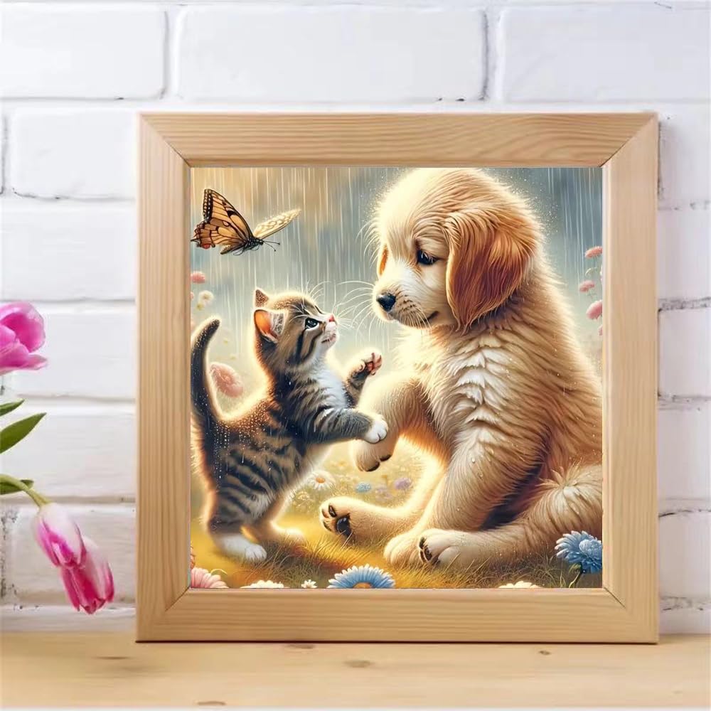 ZQEATRY 5D Diamond Painting Kits for Adults,Butterfly Diamond Art Kits for Beginners,DIY Dog with Cat Plays Diamond Dots Gem Art with Painting Kits for Adults Home Wall Decor 12 X 12 Inch ZQEATRY