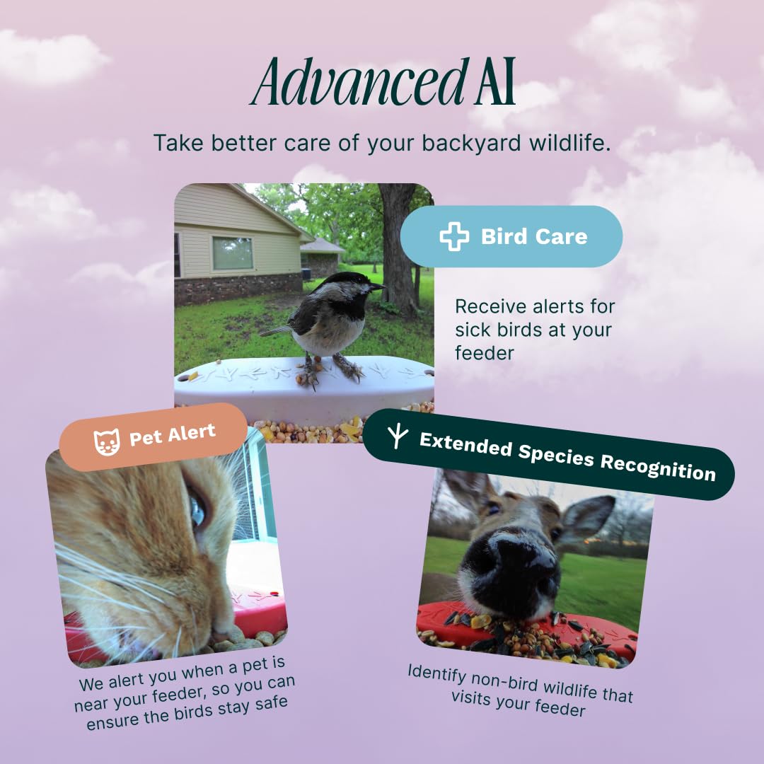 Bird Buddy Pro Solar Smart Bird Feeder with Camera - Ai Bird Species Identification, 5Mp Photos, 2K Ultra Video Live Stream Camera, Slow-Motion Video, 2.6In Focus - Blue Solar Bird Buddy