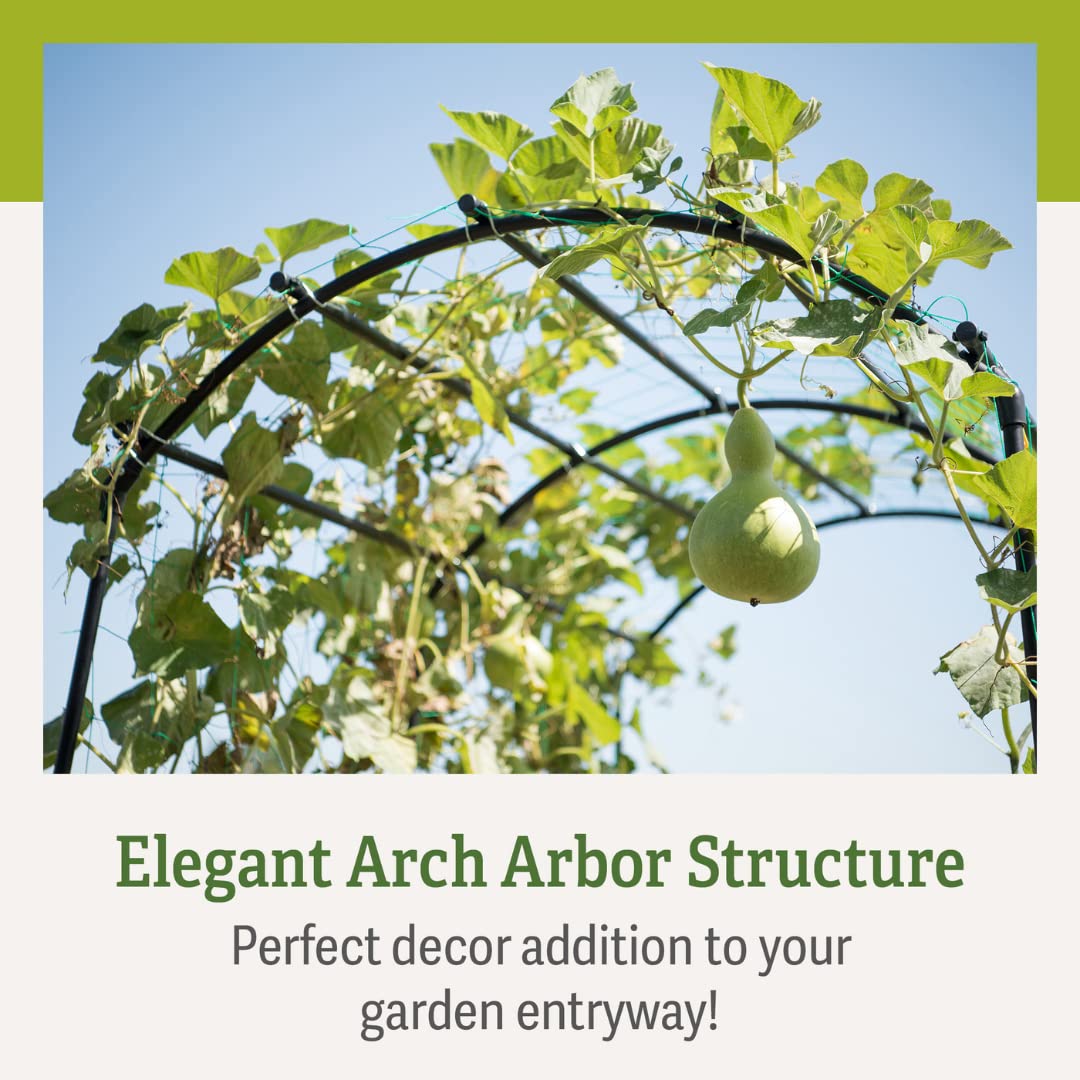 Gardener’s Supply Company Extra Tall Garden Arch Arbor | 80 Inch Tall Titan Squash Tunnel | Lightweight Metal, Trellis Plant Stand for Climbing Vines | Outdoor Lawn Tower & Support Structure Gardener's Supply Company