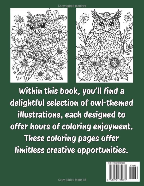 Owls Coloring Book: Large Print Images, Bold Lines, Easy Level, For Fun and Relax WoodArtSupply