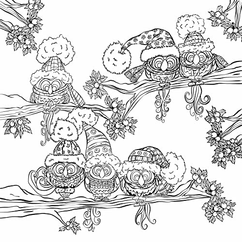 Zendoodle Coloring Presents: Birds in the Forest: An Artist's Coloring Book WoodArtSupply