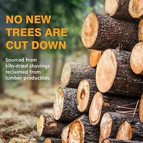 Feline Pine Platinum Non-Clumping Cat Litter 18lb. Arm & Hammer