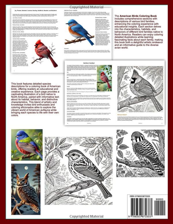 American Birds Coloring Book (Birds of the World: A Colouring Adventure Series) Majosta