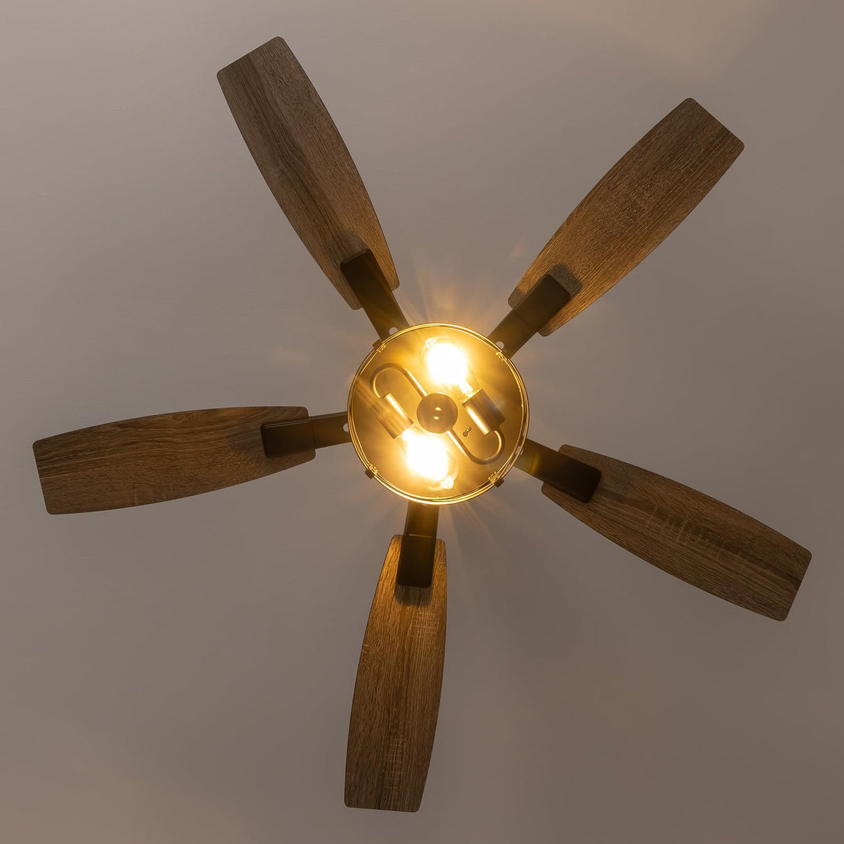 52 Inch Ceiling Fans with Lights and Remote & APP Control, Farmhouse Ceiling Fan with LED Lighting for Bedroom Living Room and Patio, Black Caged Ceiling Fan for Indoor and Outdoor(NO BULBS) YouthDream