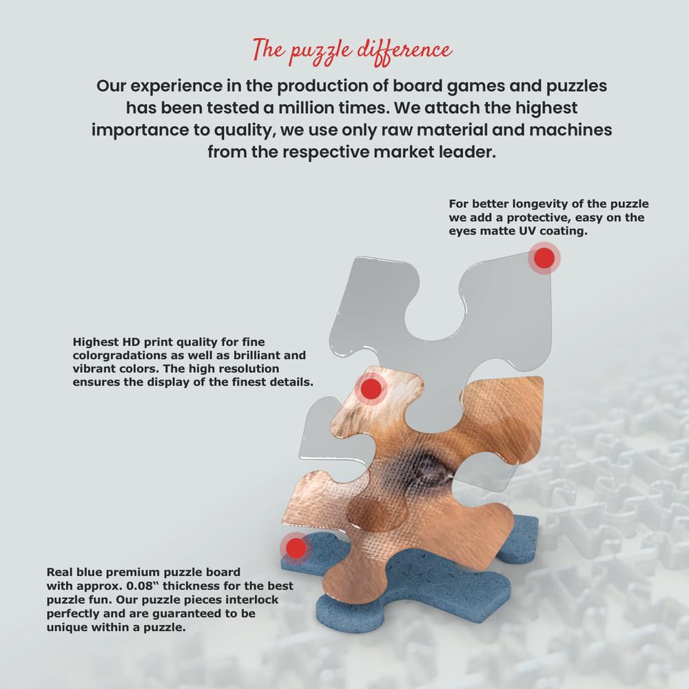 MyPuzzle American Paint Horse On Snow - Premium 500 Piece Jigsaw Puzzle for Adults MyPuzzle.com