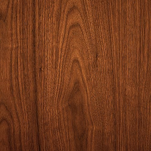 Armen Living Summer Mid Century Modern Dining Accent Chair for Table Kitchen Desk Vanity in Charcoal Fabric and Walnut Wood Finish Armen Living