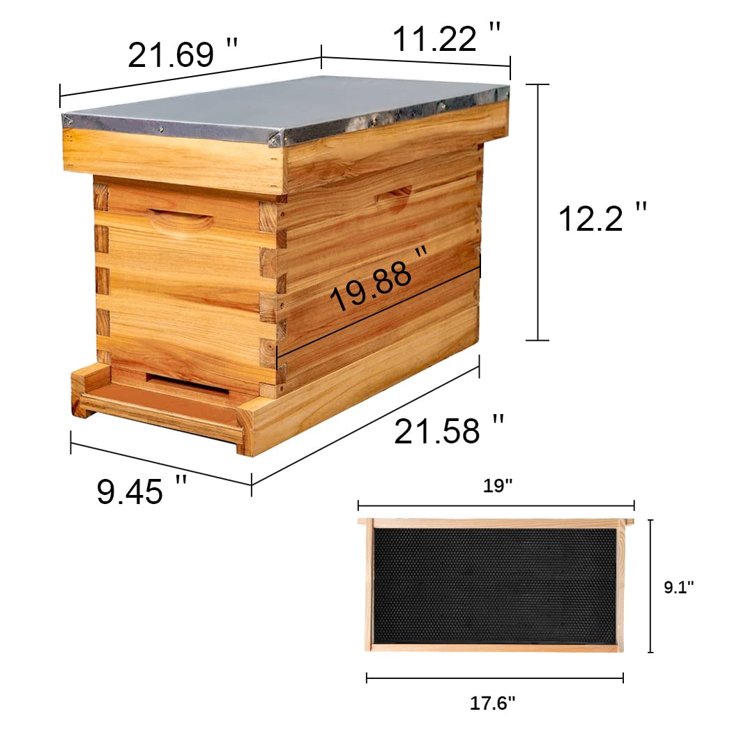 MayBee 5-Frame Nuc Beehive for Bees Complete Bee Hive Box Kit with Metal Roof Includes Wooden Frames & Waxed Foundations for Langstroth Beekeeping MayBee