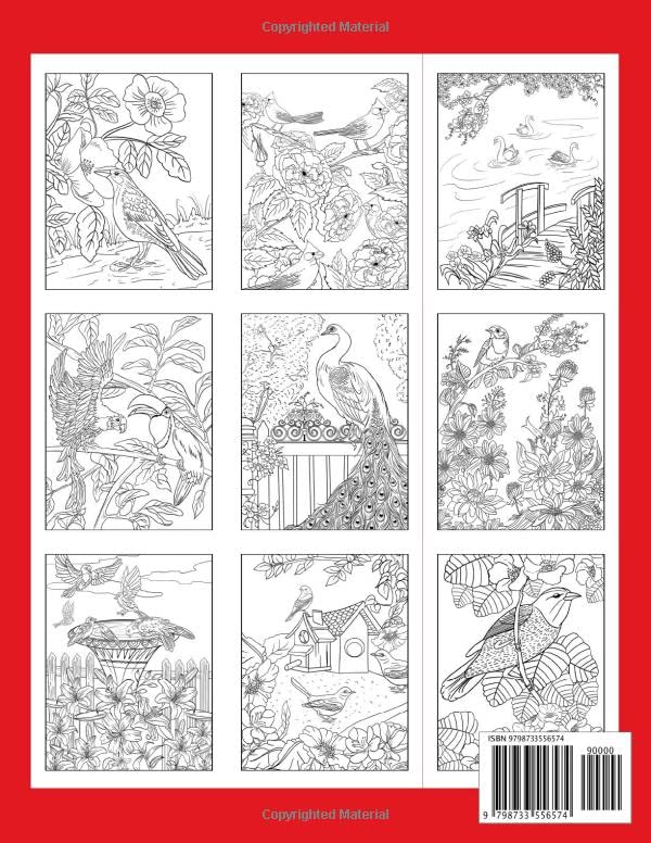 Beautiful Birds Coloring Book: An Adult Coloring Book With Beautiful Songbirds, Parrots, Swans, Peacocks, and More! Majosta
