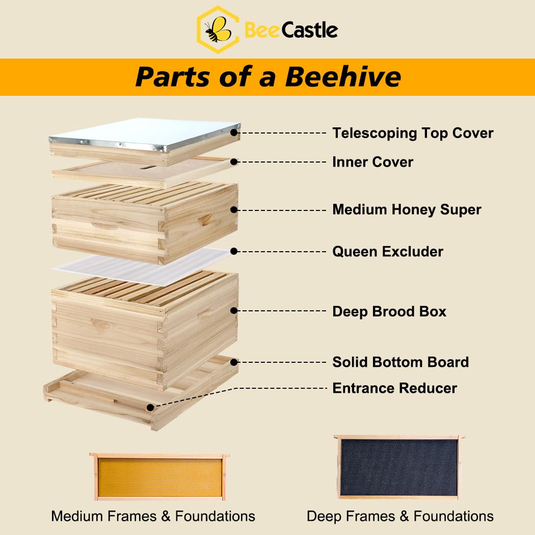 BeeCastle 8 Frame Langstroth Bee Hive, Beehive Starter Kit for Beginners with Beehive Frames and Waxed Foundation (1 Deep Box & 1 Medium Box) BeeCastle