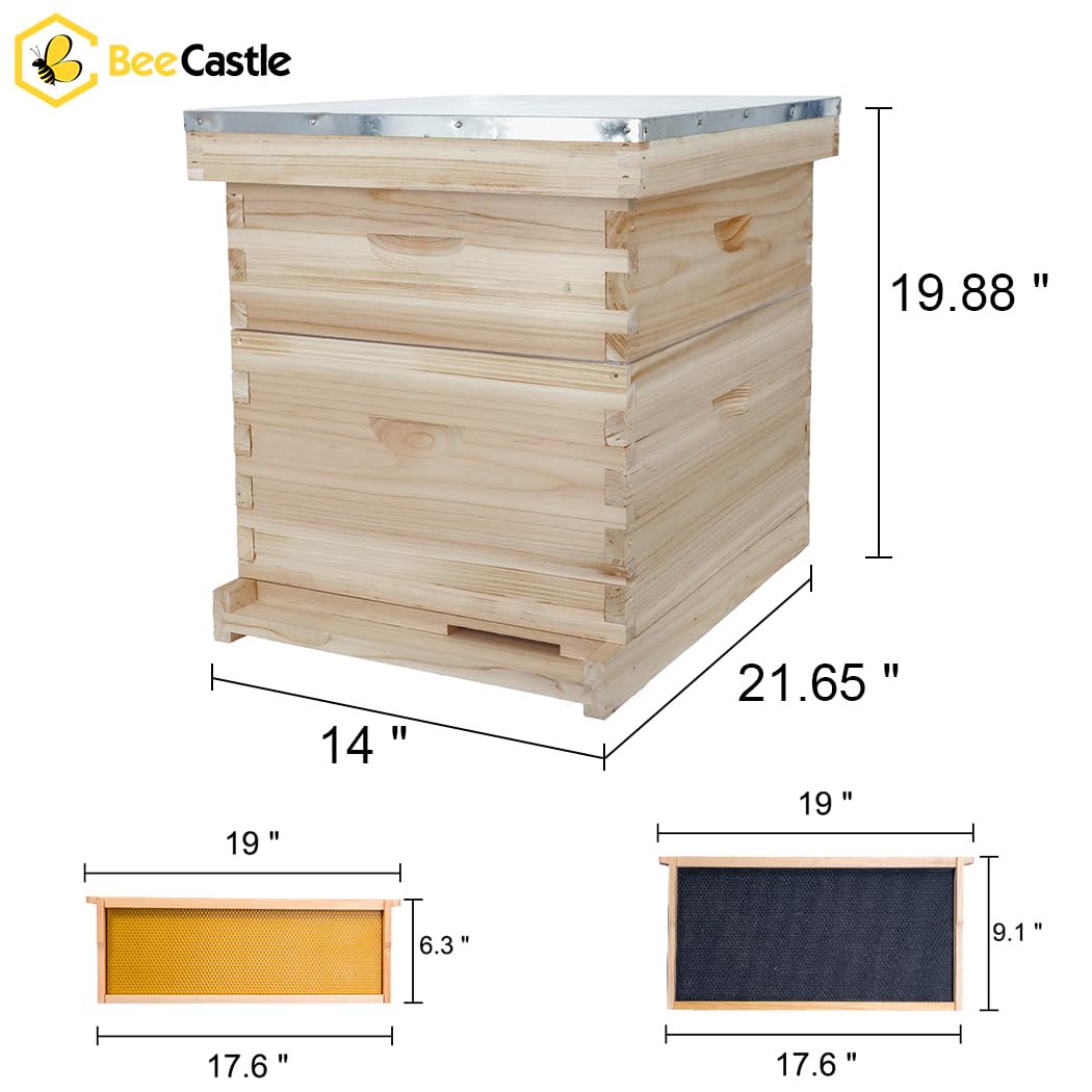 BeeCastle 8 Frame Langstroth Bee Hive, Beehive Starter Kit for Beginners with Beehive Frames and Waxed Foundation (1 Deep Box & 1 Medium Box) BeeCastle