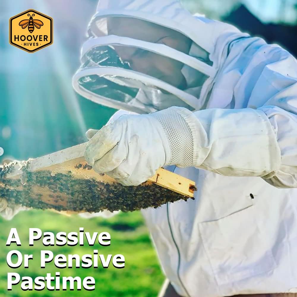 Hoover Hives 8 Frame Beehive Kit - Dipped in 100% Beeswax Includes Wooden Frames & Waxed Foundations (2 Deep Boxes, 1 Medium Box) Hoover Hives