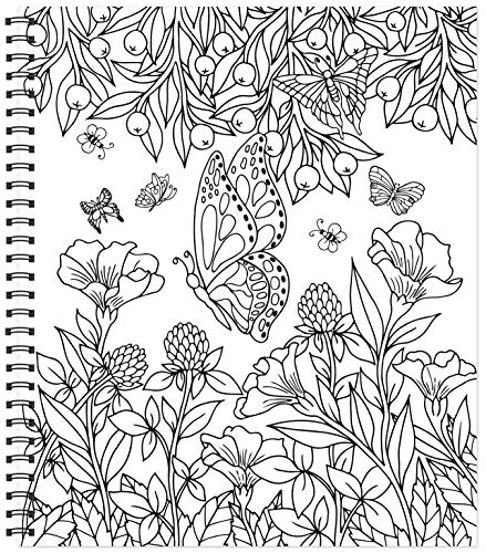 Color & Frame - Country Gardens (Adult Coloring Book) New Seasons