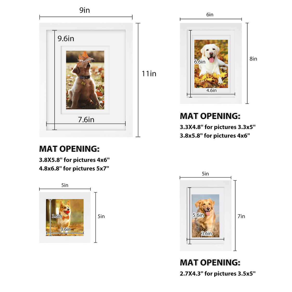 Egofine Picture Frame Set 12 Pack, Picture Frames Collage Wall Decor with Two 8x10, Four 5x7, Four 4x6, Two 4x4, Photo Frames for Wall and Tabletop, Made of Solid Wood, Covered by Plexiglass, White Egofine