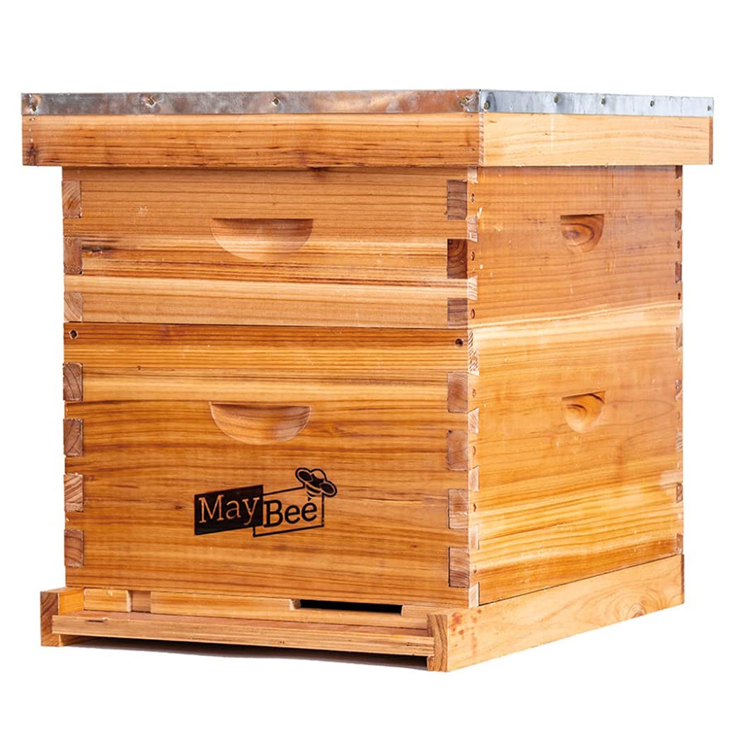 Bee Hive 10 Frame Bee Hives and Supplies Starter Kit, Bee Hive for Beginner, Honey Bee Hives Includes 1 Deep Bee Boxes, 1 Bee Hive Super with Beehive Frames and Foundation MayBee