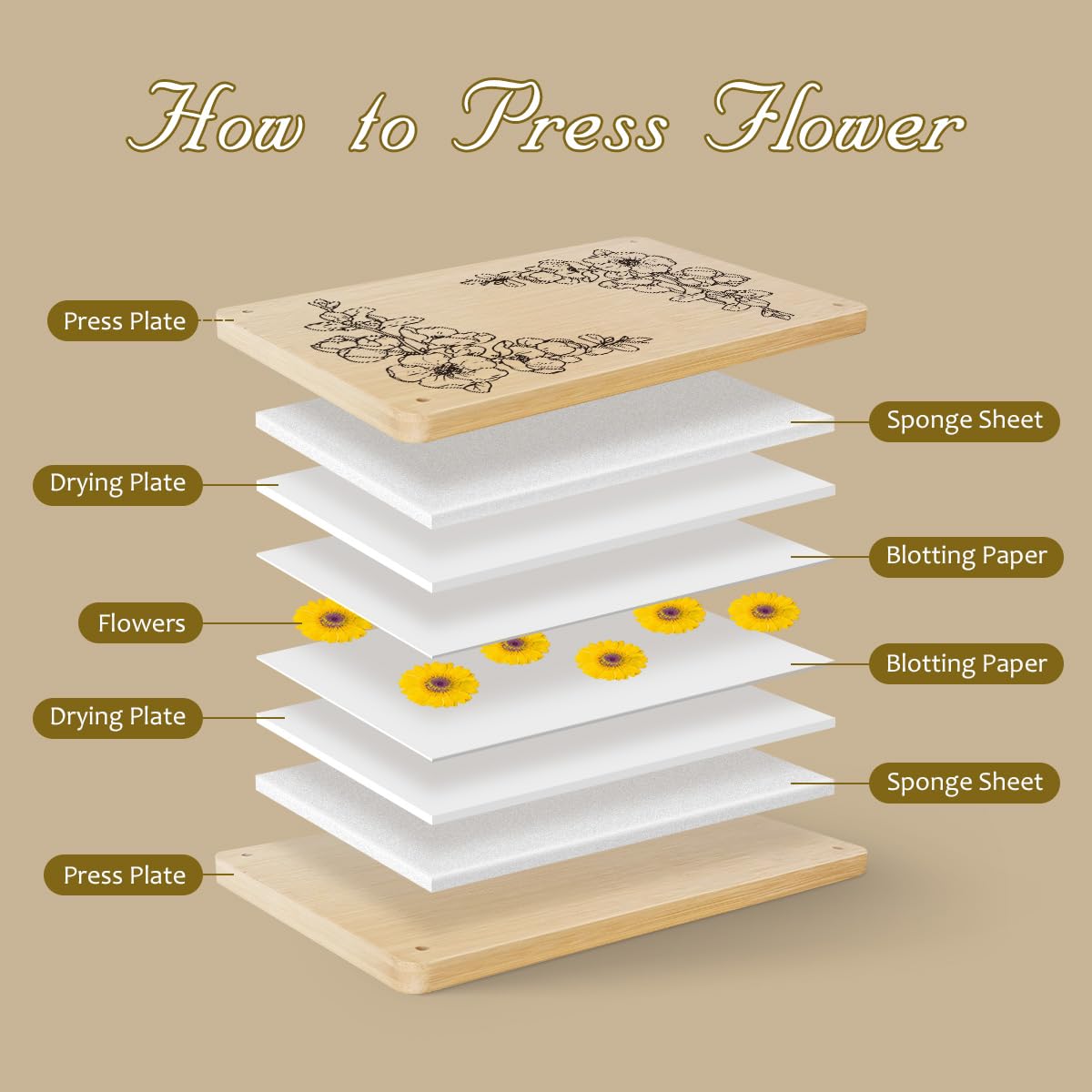 Happinit Large Flower Press Kit - 6 Layers 11" x7" Even Pressure for DIY Arts, Pressing for Adults, Dried Plant Preservation for Craft Lovers Happinit