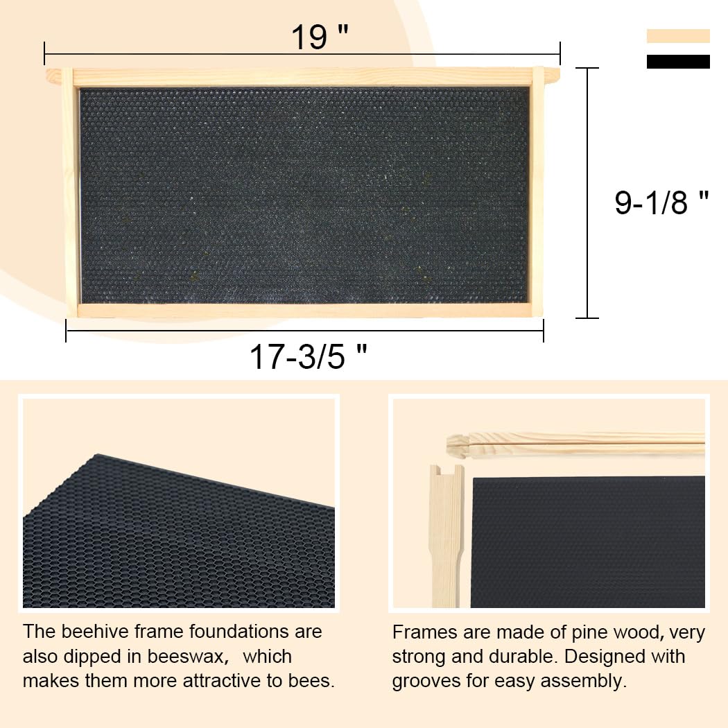 BEEINN 10 Frame Bee Hive Box, Langstroth Deep Brood Bee Box Dipped in 100% Beeswax Include Beehive Frames and Waxed Foundation Sheets (Unassembled) BEEINN