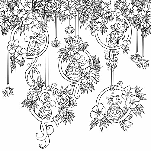 Zendoodle Coloring Presents: Birds in the Forest: An Artist's Coloring Book WoodArtSupply