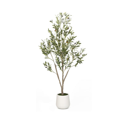 VIVATREES Artificial Olive Tree, 5FT Tall Faux Olive Tree with White Planter, Artificial Plants with Natural Wood Trunk and Lifelike Fruits for Home Office Decor