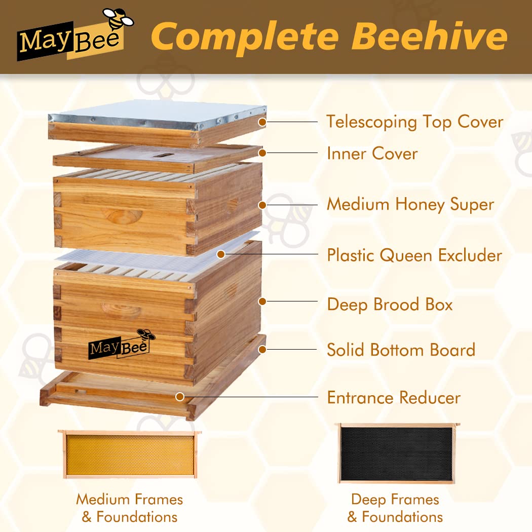 Beehive 8 Frame Bee Hives and Supplies Starter Kit, Bee Hive for Beginner, Honey Bee Hives Includes 1 Deep Bee Boxes, 1 Bee Hive Super with Beehive Frames and Foundation MayBee