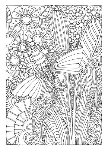 Creative Haven Entangled Dragonflies Coloring Book (Adult Coloring Books: Insects) Dover Publications
