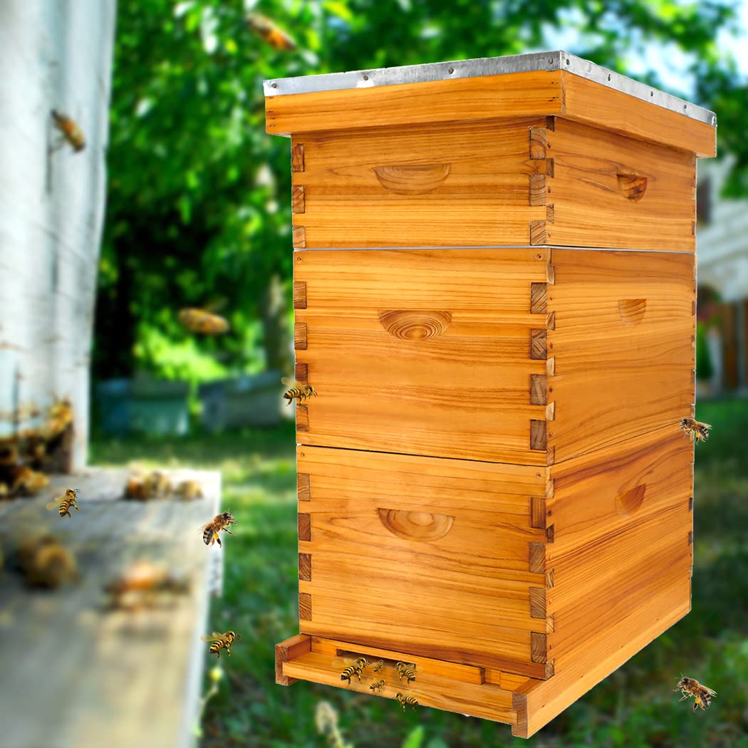 Honey Lake 8 Frame Bee Hive Kit, Langstroth Bee Hives Boxes Starter Kit for Beekeepers Dipped in 100% Beeswax Includes 2 Deep Brood Box & 1 Medium Super Bee Box with Beehive Frames and Foundations Honey Lake