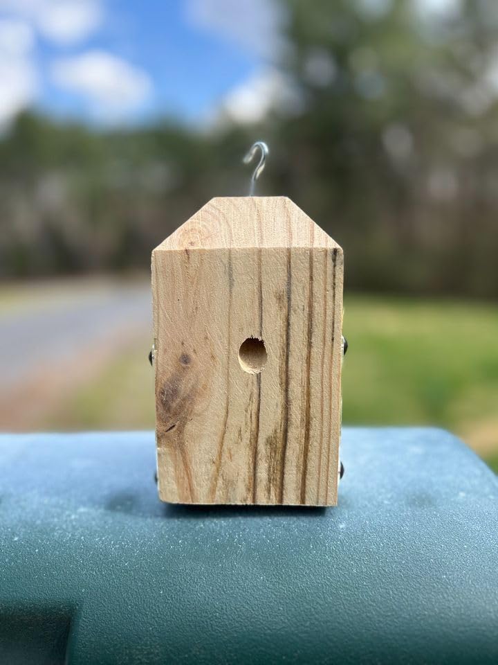 Carpenter Bee Trap Generic