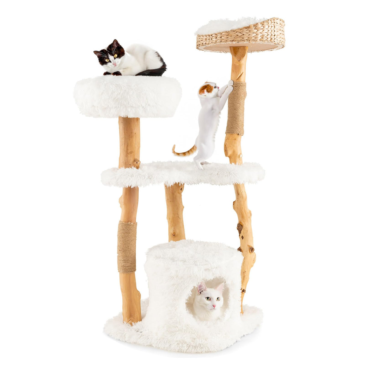 Tangkula Cat Tree for Indoor Cats, Solid Wood Modern Cat Tower with Top Cattail Basket Cat Bed, Side Perch, Large Platform & Cat Condo, Cute Cat Tree with Scratching Posts for Large Cats (49 Inch) Tangkula