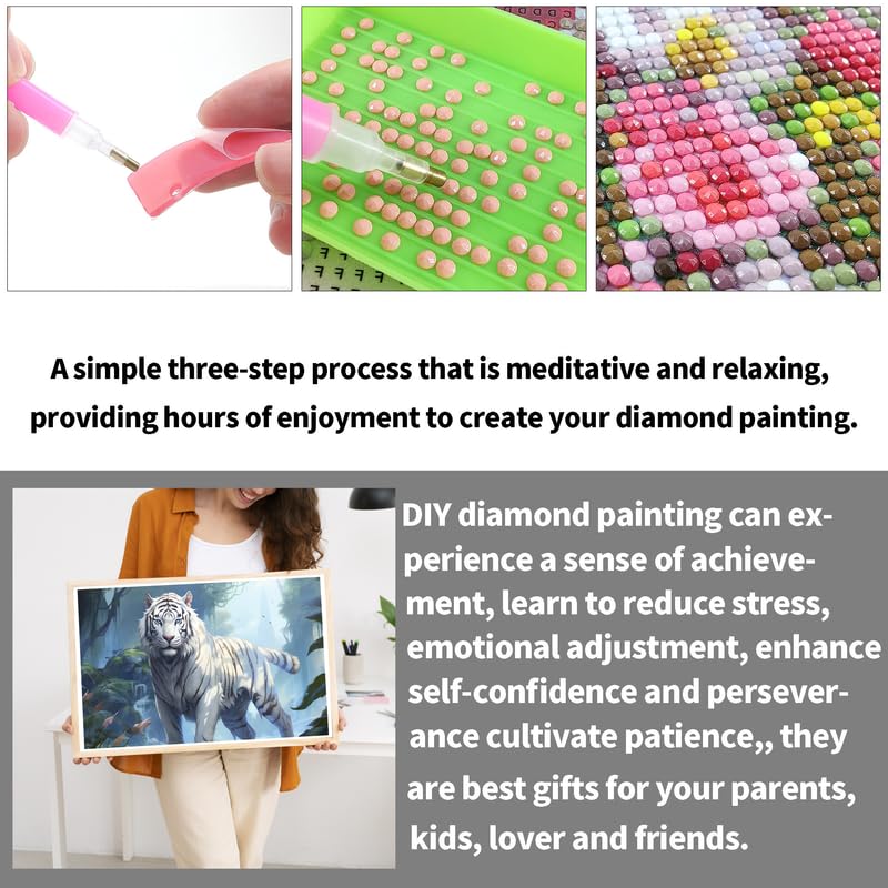 Diymood DIY 5D Diamond Painting Kits for Kids & Adults Train - Diamond Art Kits for Kids & Adults Snow Scene | Full Drill Round | Crystal | Beginner | Home Wall Decor | 12x16 inch Diymood